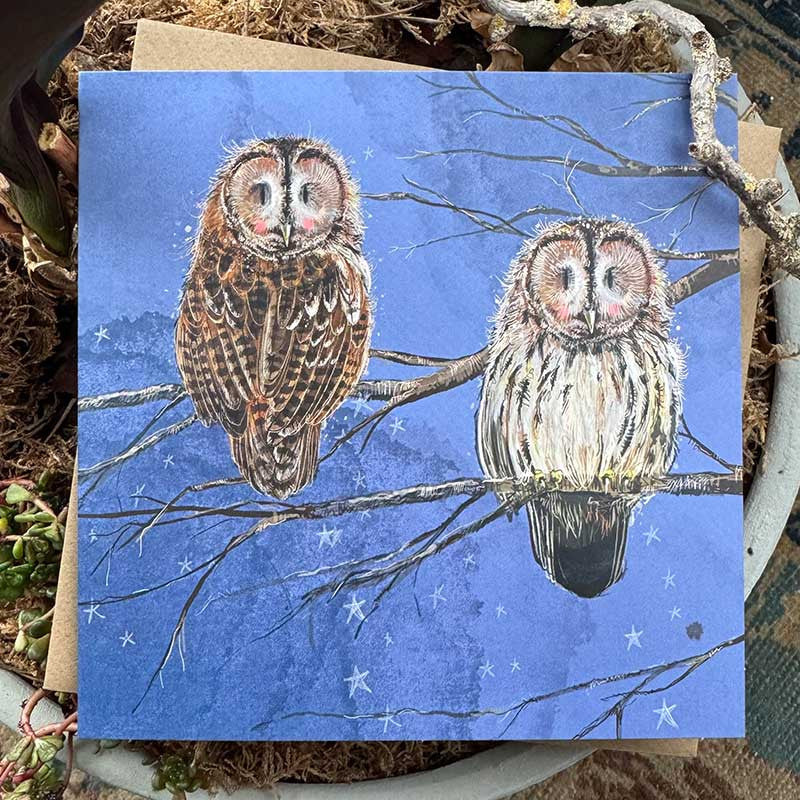 Alex Twilight Blank Card