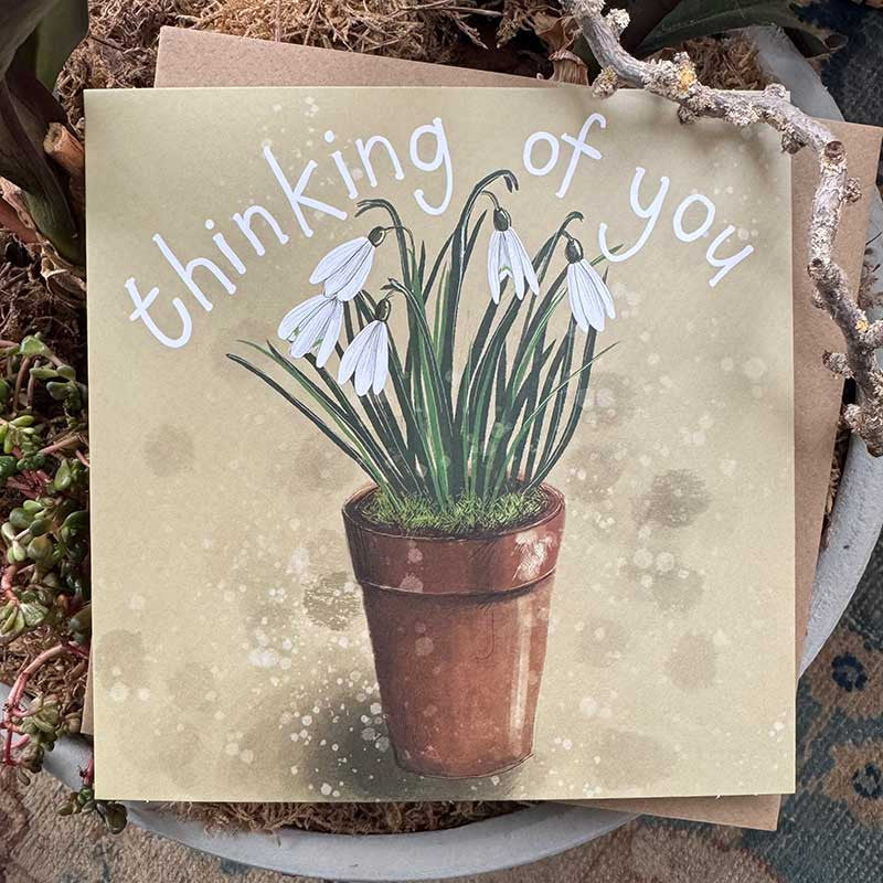 Alex Snowdrop Pot Thinking Of You Card