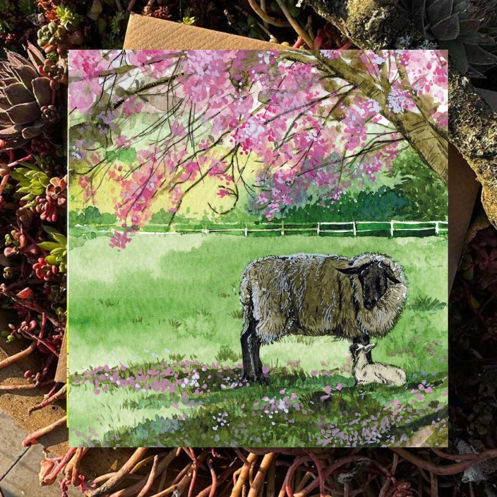 Alex Clark Sheep, Lamb and Cherry Blossom Blank Card