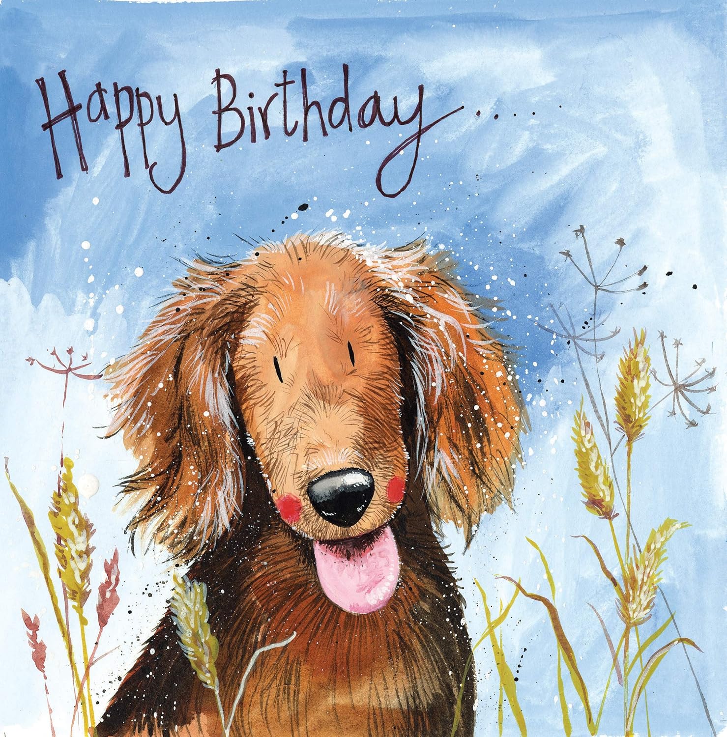 Alex Clark Bertie Dog Birthday Card