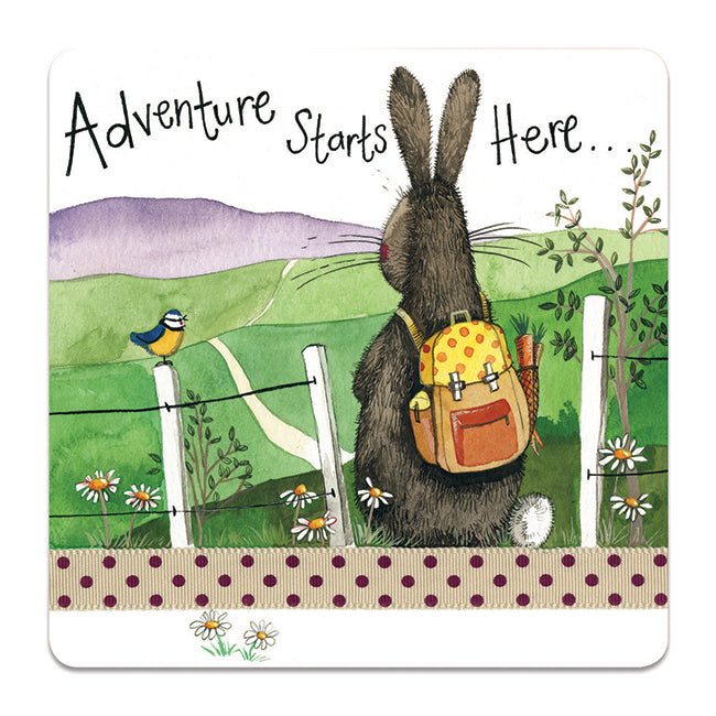 Alex Clark Adventure Rabbit Coaster