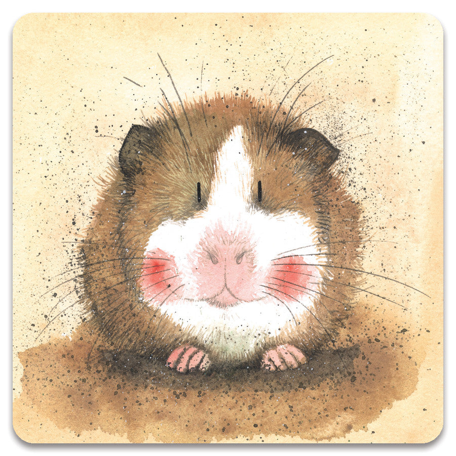 Alex Clark Gilbert Coaster