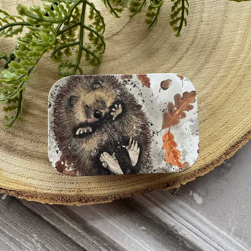 Alex Clark Hedgehog Small Sliding Tin