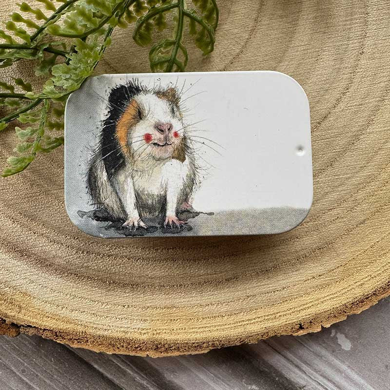 Alex Clark Guinea Pig Small Sliding Tin