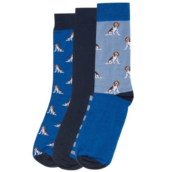Barbour Beagle Socks Set Dogs Printed in Blue One Size