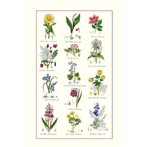 Samuel Lamont Botanic Garden Cotton Tea Towel
