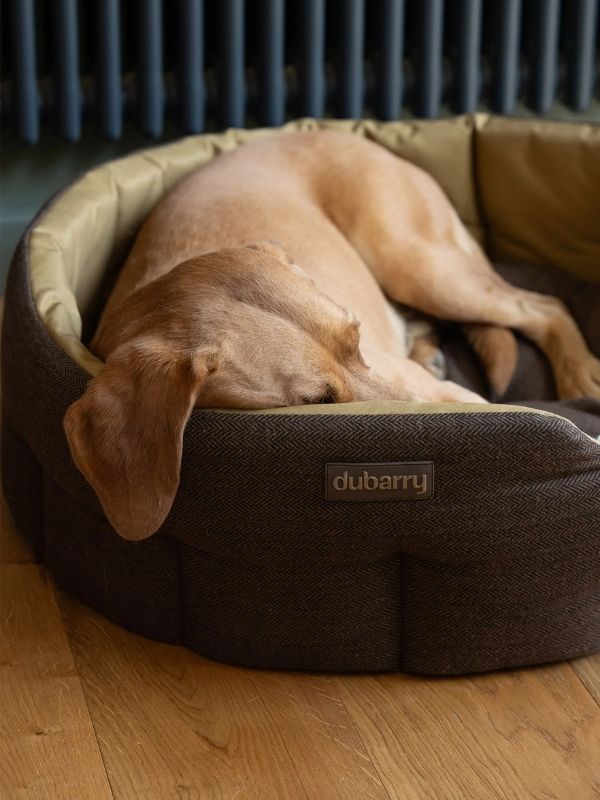 Dubarry Of Ireland Buster Tweed Dog Bed Mocha