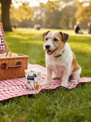 Dunoon Nevis Messy Dogs Mug product image