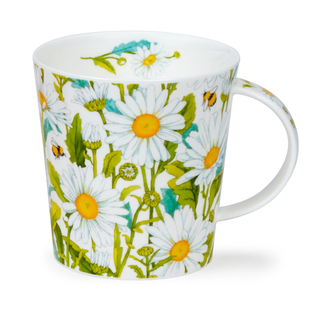 Dunoon Cair Beautiful Blooms Daisies
