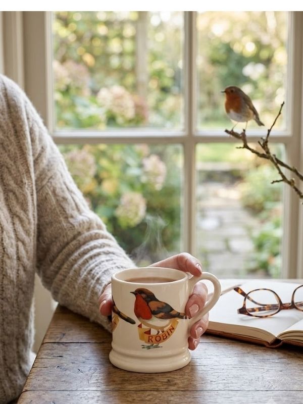 Emma Bridgewater Robin 1/2 Pint Mug product image