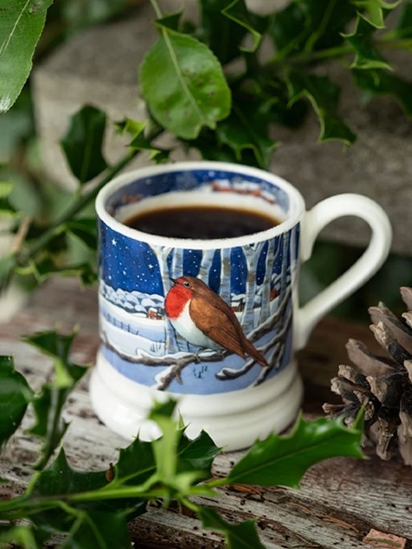 Emma Bridgewater Midnight Robin 1/2 Pint Mug