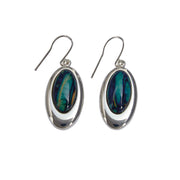 Heathergems Oval Silver Plated Drop Earrings product image