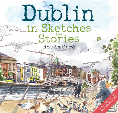 Dublin in Sketches and Stories Book