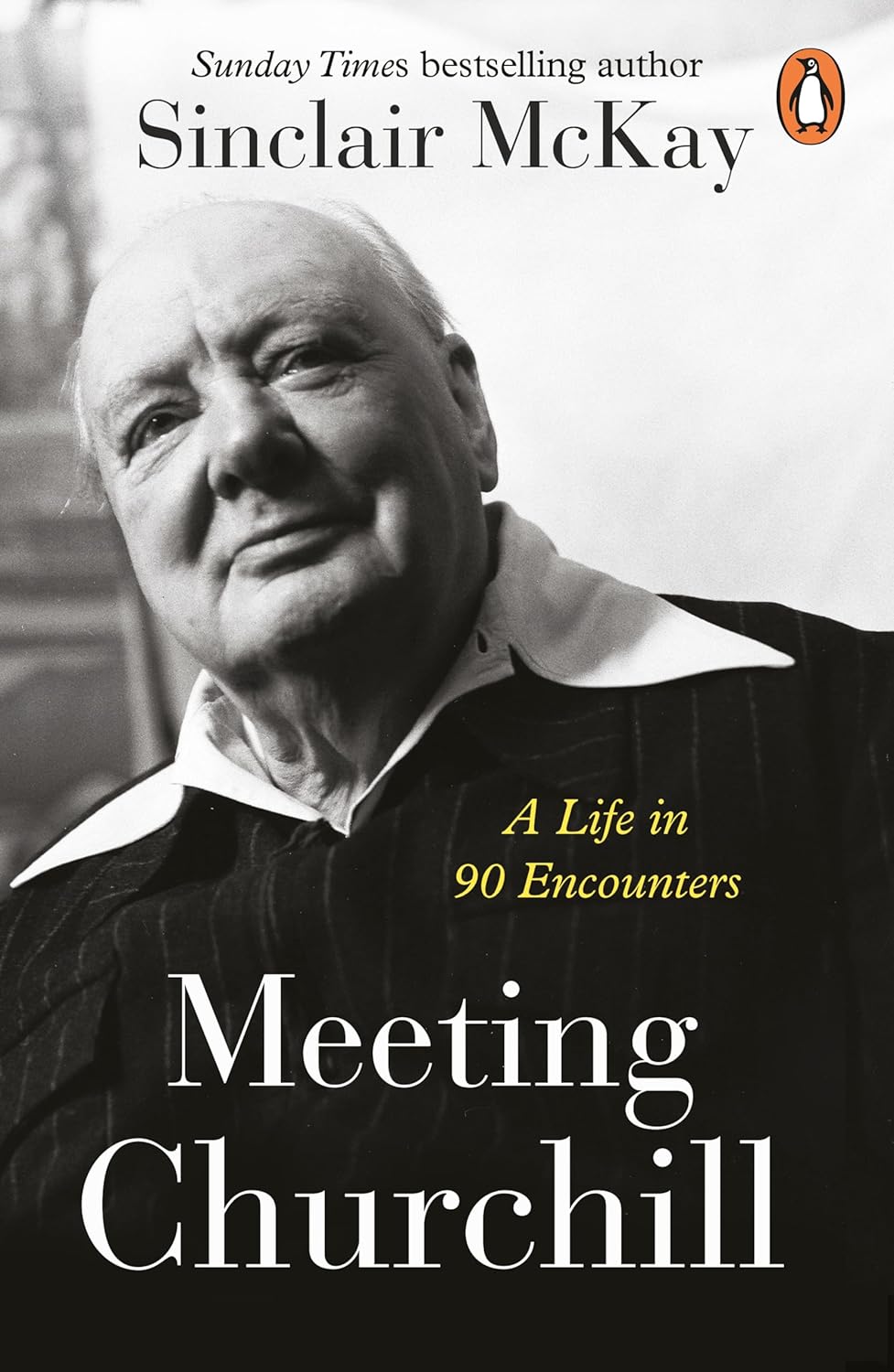 Meeting Churchill: A Life in 90 Encounters Book