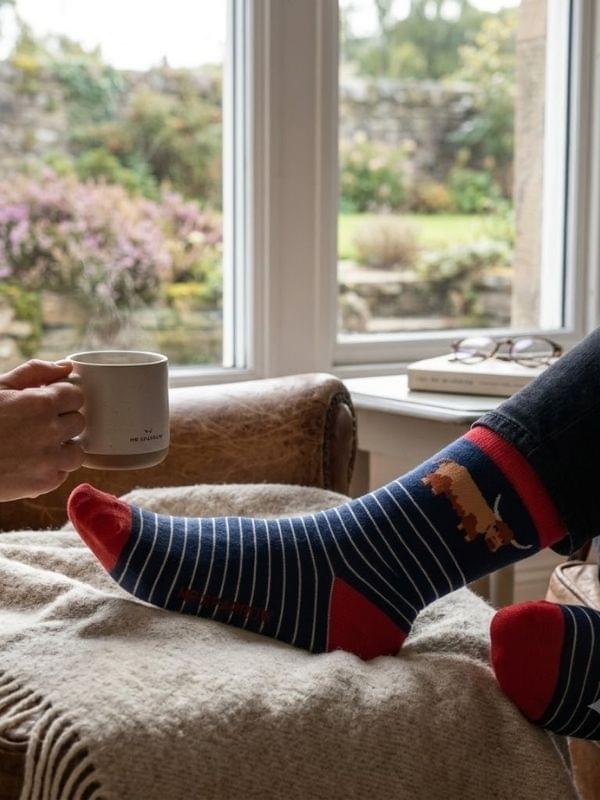 Mr Sparrow Highland Cow & Stripes Navy Socks product image with Highland, Cow