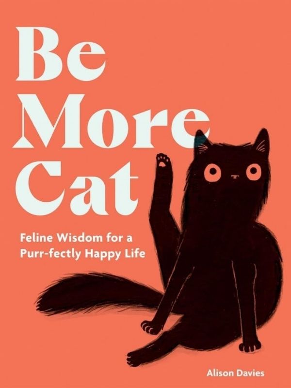 Be More Cat (Hb)