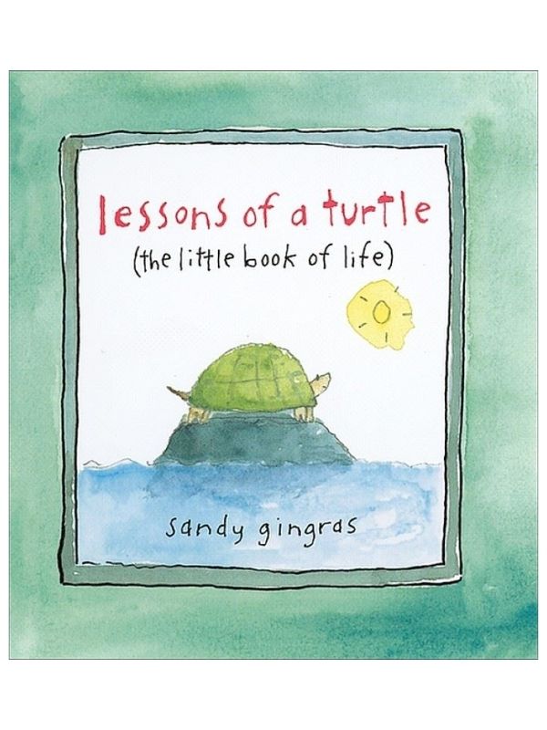 Lessons Of A Turtle: The Little Book Of Life (Hb)