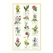 Samuel Lamont Botanic Garden Cotton Tea Towel product image