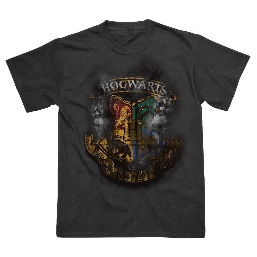 Spike Hogwarts Distressed T-Shirt Size S