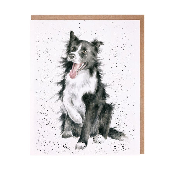 Wrendale Designs Greeting Card - Shadow Sheepdog