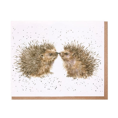 Wrendale Designs Hogs and Kisses Greeting Card