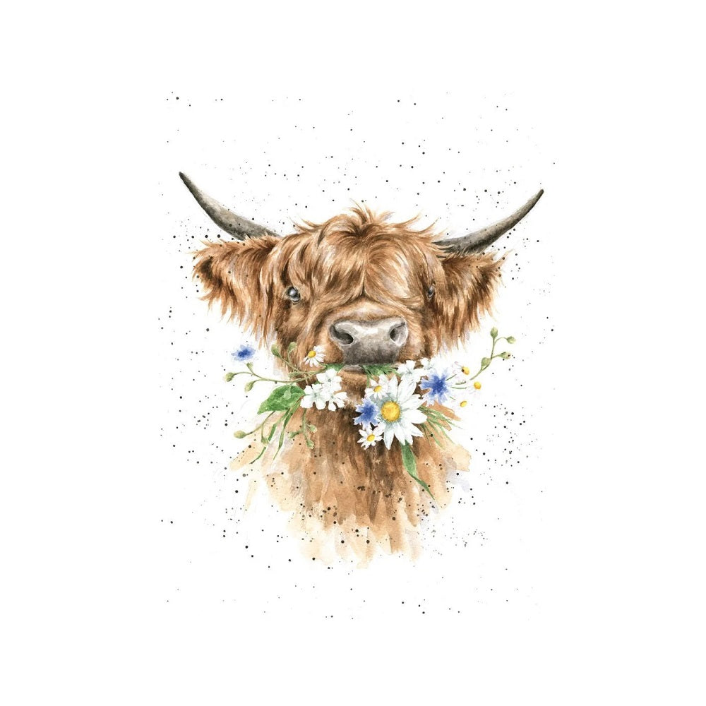 Wrendale Designs Daisy Cow Card product image with Cow