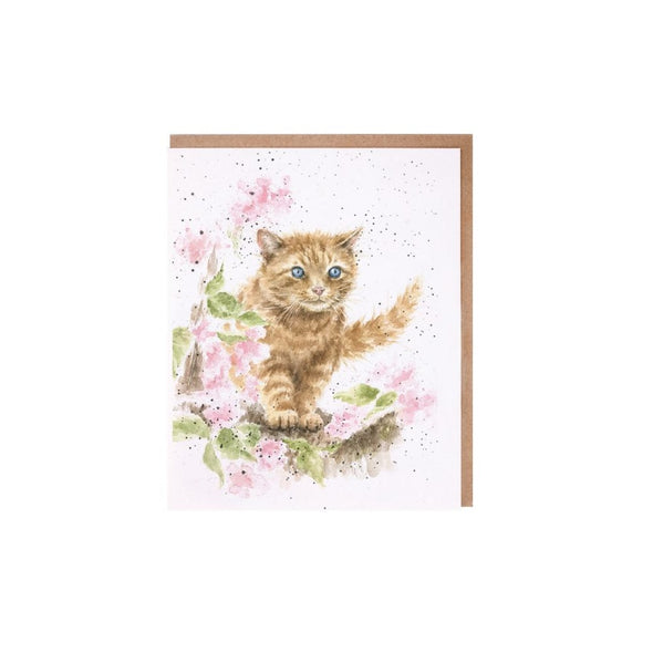 Wrendale Designs The Marmalade Cat Single Card