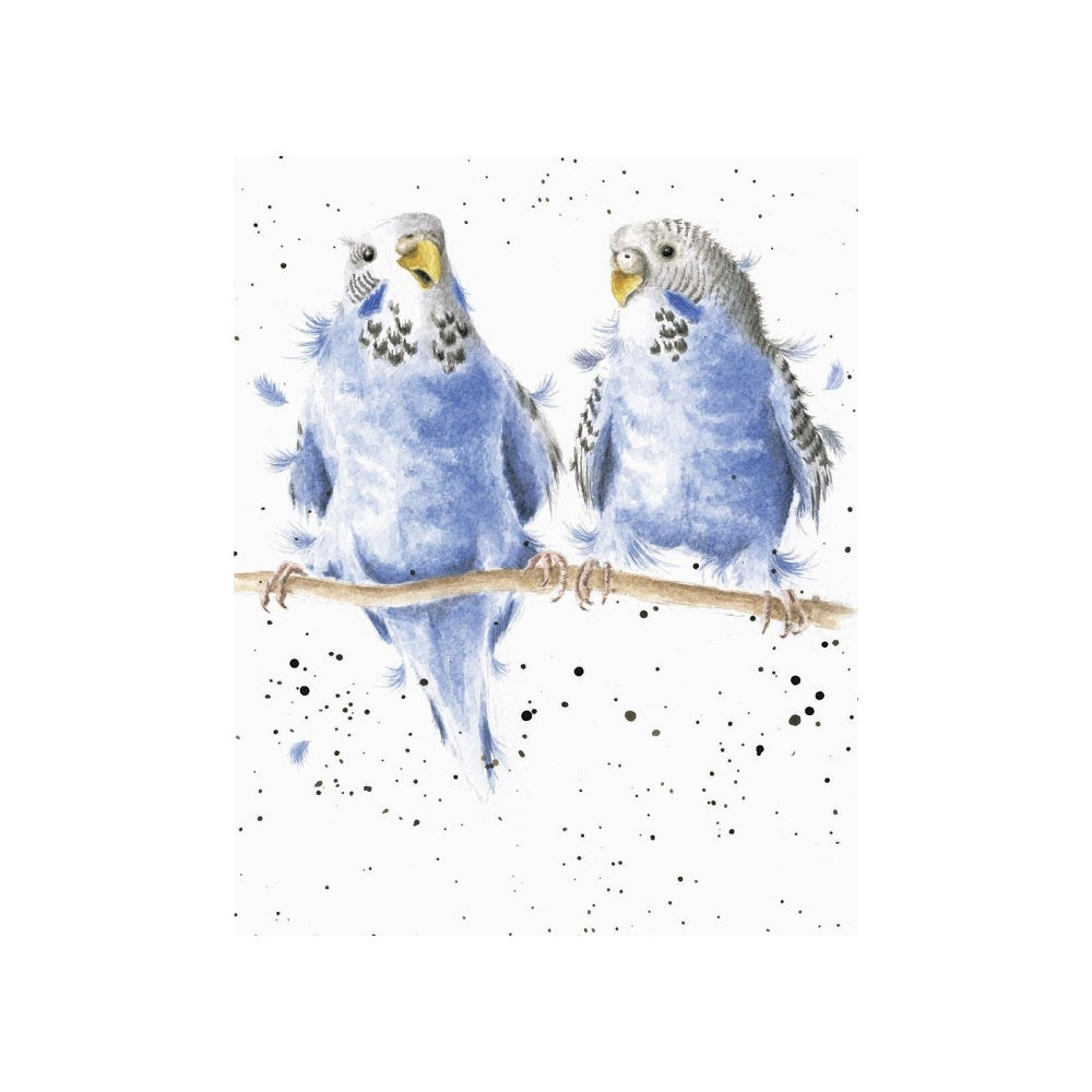 Wrendale Designs Date Night Single Card