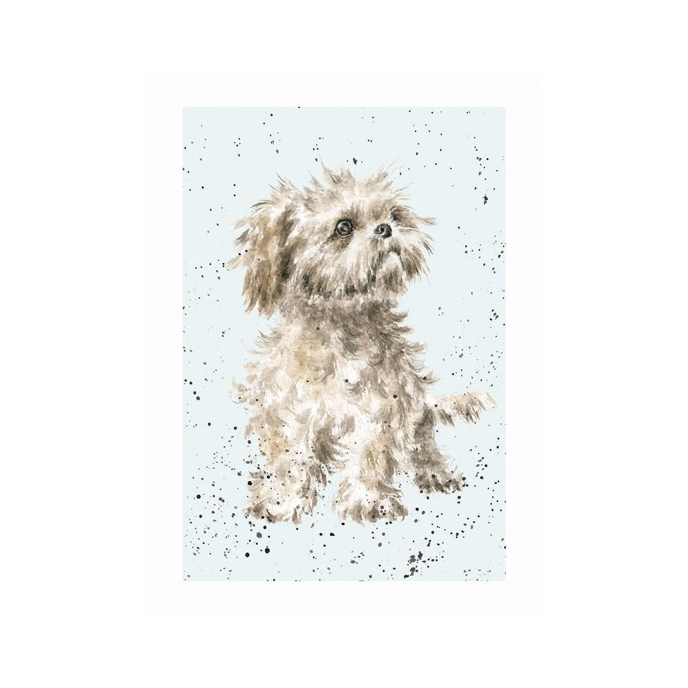 Wrendale Designs 'MAX' Shih Tzu Card