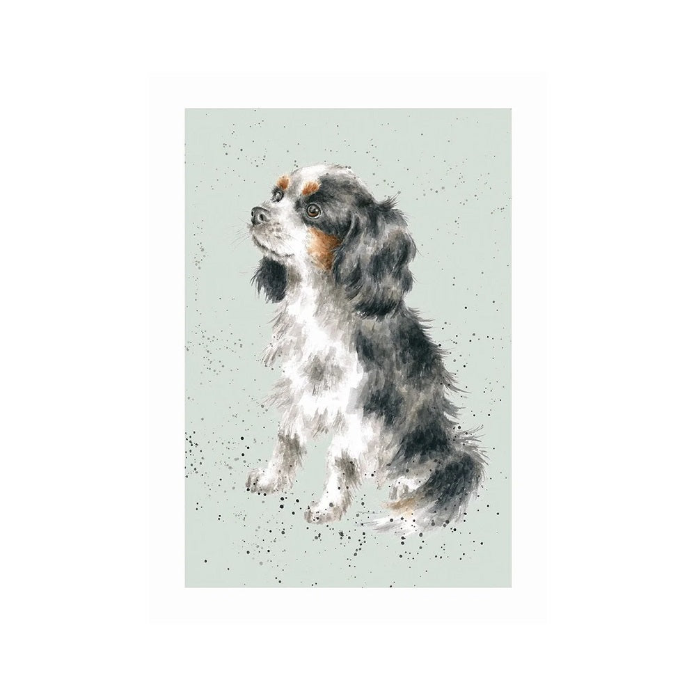 Wrendale Designs 'GEORGE' Cavalier King Charles Spaniel Card