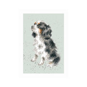 Wrendale Designs 'GEORGE' Cavalier King Charles Spaniel Card product image with King Charles