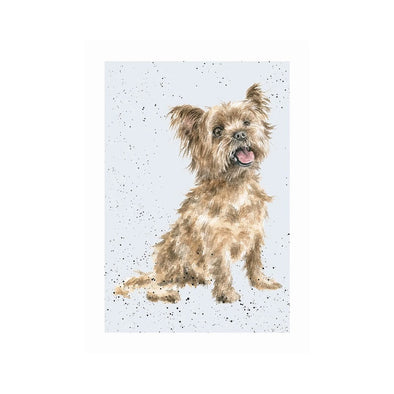 Wrendale Designs 'RALPH' Yorkshire Terrier Card