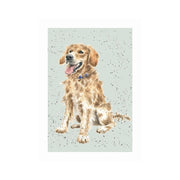 Wrendale Designs 'ALFIE' Golden Retriever Card product image