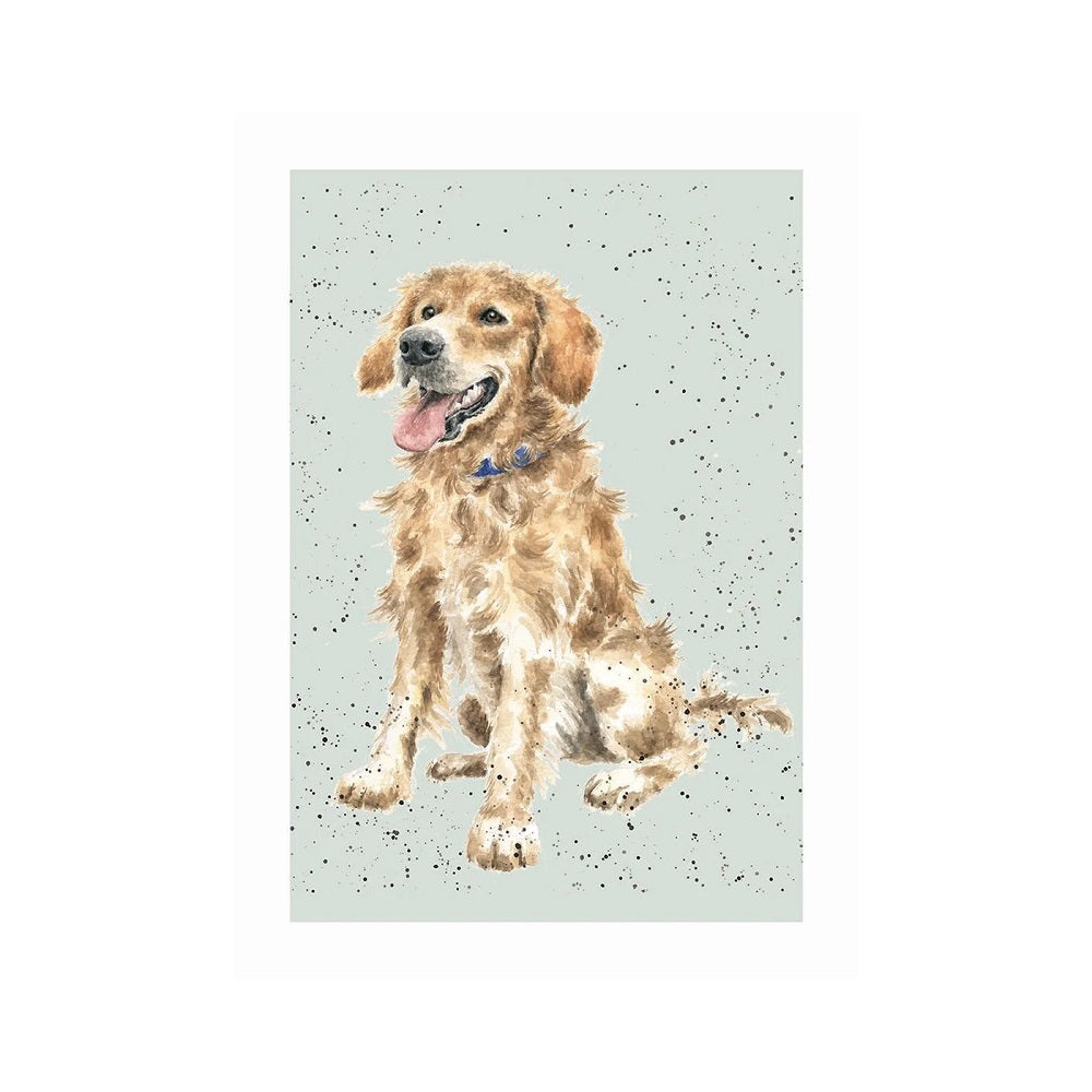 Wrendale Designs 'ALFIE' Golden Retriever Card