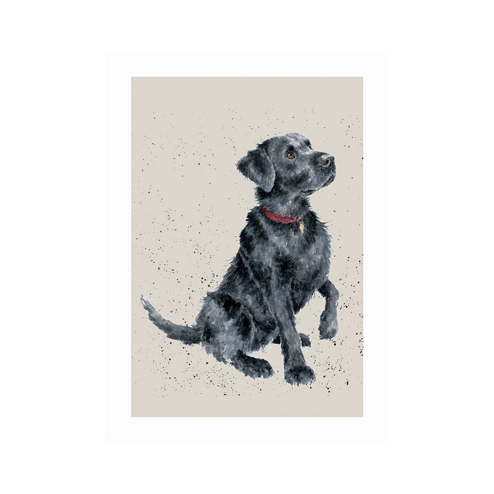 Wrendale Designs 'JACK' Black Labrador Card