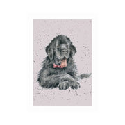Wrendale Designs 'DUDLEY' Newfoundland Card product image