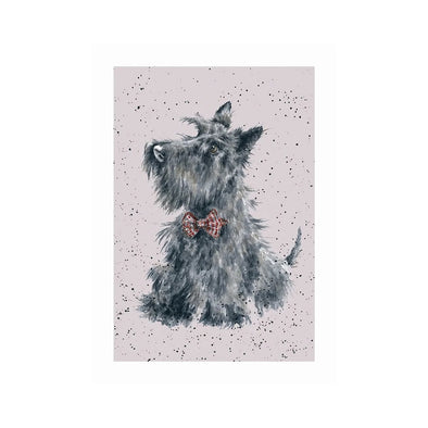 Wrendale Designs 'TAMMY' Scottie Card