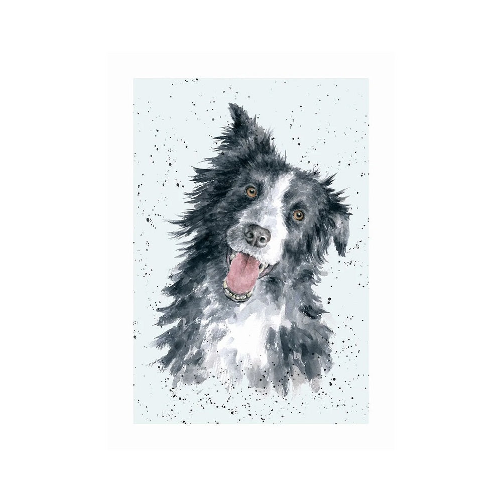 Wrendale Designs 'JESS' Border Collie Card
