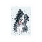 Wrendale Designs 'JESS' Border Collie Card product image