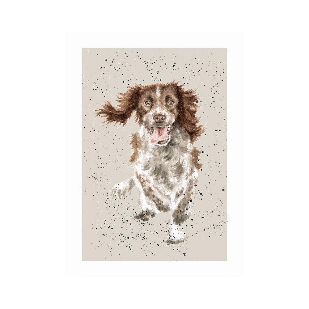 Wrendale Designs 'SKYE' English Springer Spaniel Card