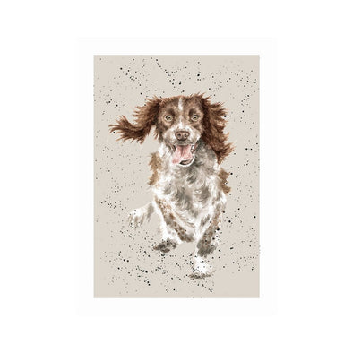 Wrendale Designs 'SKYE' English Springer Spaniel Card