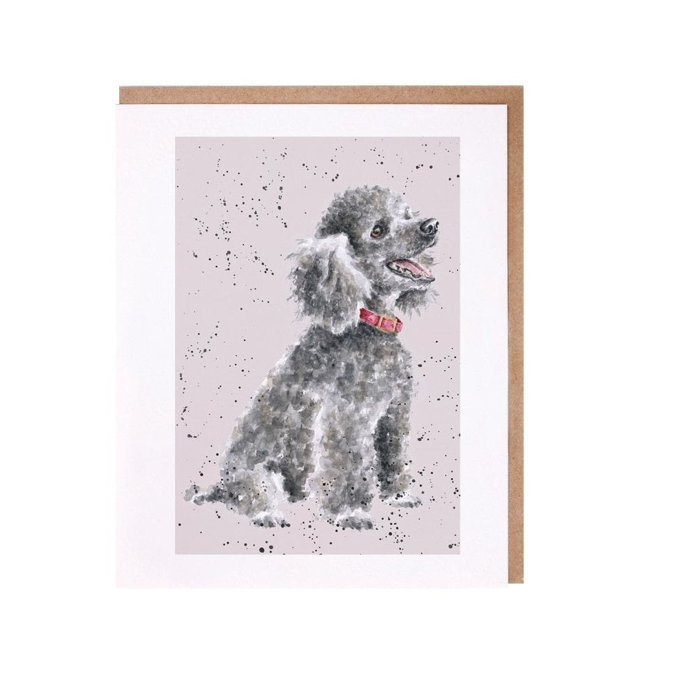 Wrendale Designs Poodle 'Alice' Card