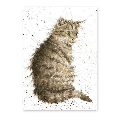 Wrendale Designs The Cat's Whiskers Single Card