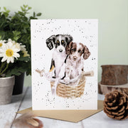 Wrendale Designs 'Paws and Pedals' Card Best of British NBPT  Souvenirs.