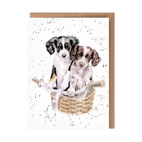 Wrendale Designs 'Paws and Pedals' Card