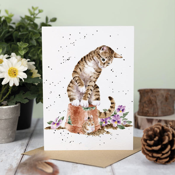 Wrendale Designs 'Hide and Squeak' Cat Greetings Card