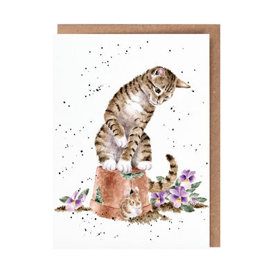 Wrendale Designs 'Hide and Squeak' Cat Greetings Card