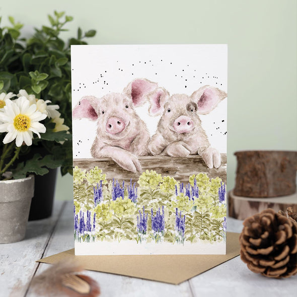 Wrendale Designs 'Nosy Neigh-boars' Pig Greetings Card