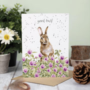 Wrendale Designs 'The Clover Patch' Rabbit Good Luck Card Best of British NBPT  Souvenirs.